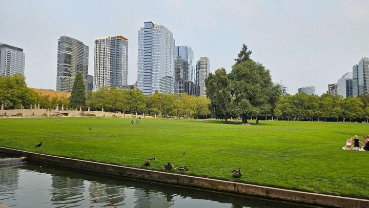 ベルビューの整備された公園