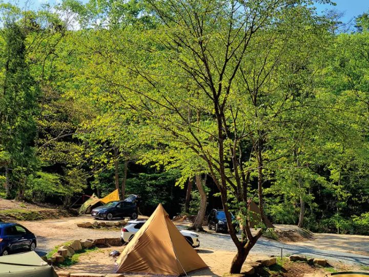 ソロキャンパー至福のドイツ軍メスキットで作る蒸気炊飯が無骨すぎる！