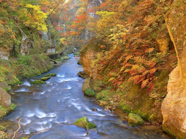 鳴子温泉は、宮城県大崎市にある1000年以上の歴史を持つ東北屈指の名湯で、鳴子・東鳴子など5つの温泉地で構成される「鳴子温泉郷」の中心です。日本に存在する11種の泉質のうち8種類が湧き出ることから「温泉のデパート」とも呼ばれます。