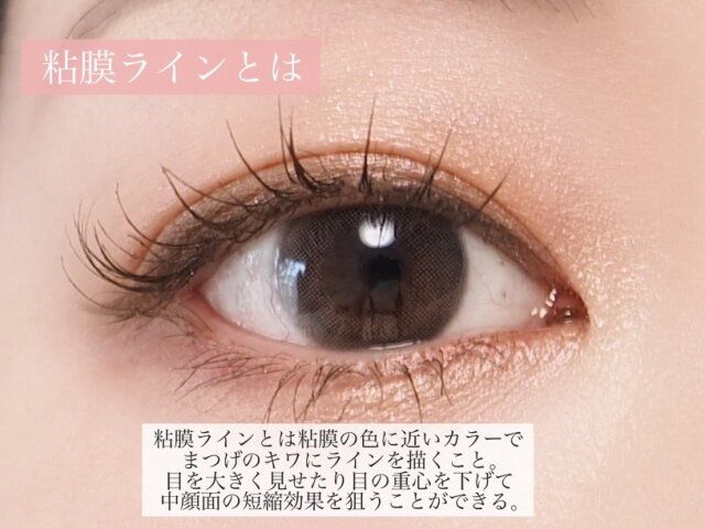 粘膜ラインとは 解説