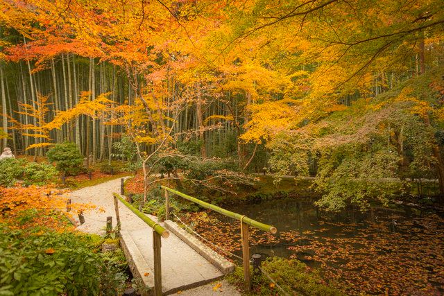 応挙竹林と栖龍池