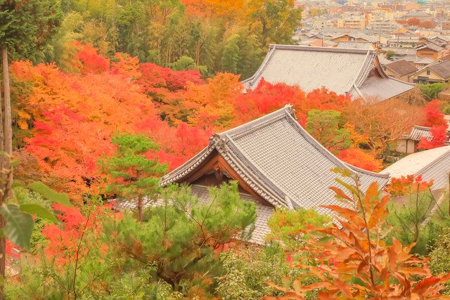裏山からの境内