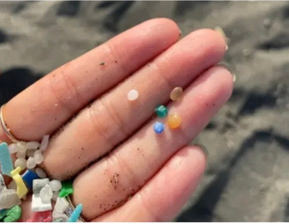 【神奈川県茅ヶ崎市】ビーチクリーンや環境ドキュメンタリー映画鑑賞で“マイクロプラスチック問題”を身近に