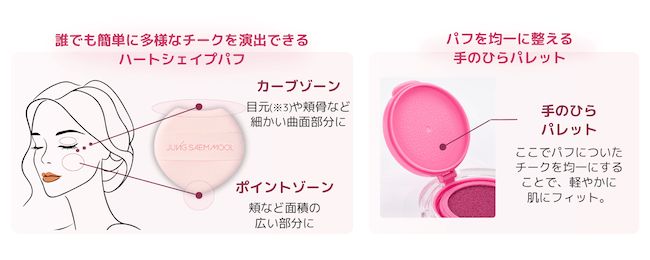 ジョンセンムル『アーティストクッションブラッシュ』_2