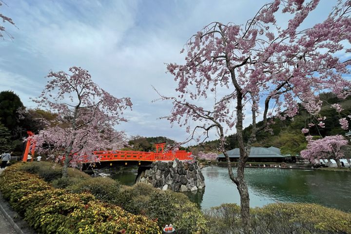 バイク女子旅 in 大阪｜絶景「ダムパークいばきた」と勝運の寺「勝尾寺」へ