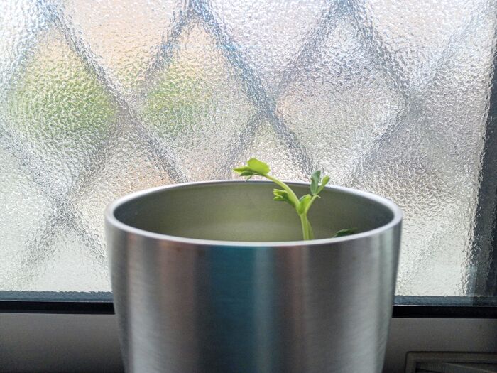 真空断熱タンブラーは「寿命」があります！2分でわかる見分け方。役立つ再利用アイデアも♪