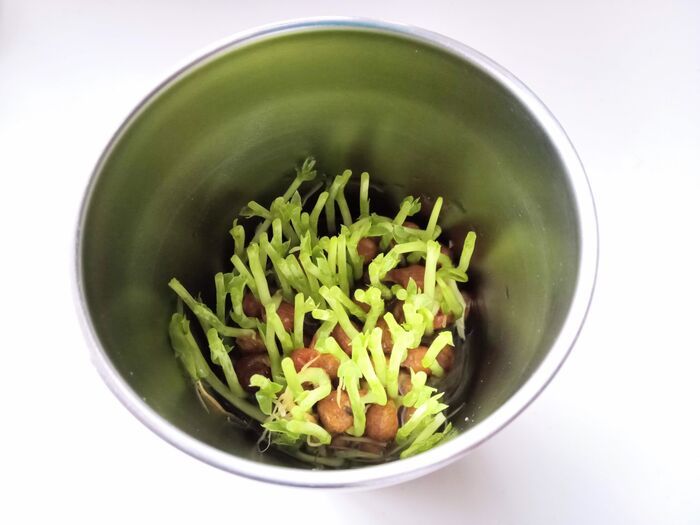 真空断熱タンブラーは「寿命」があります！2分でわかる見分け方。役立つ再利用アイデアも♪