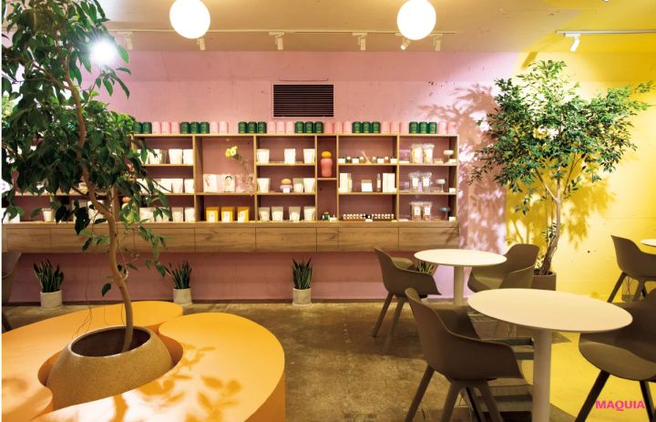 Cafe Bar NeRoLi herb 表参道 ハーブ 内観