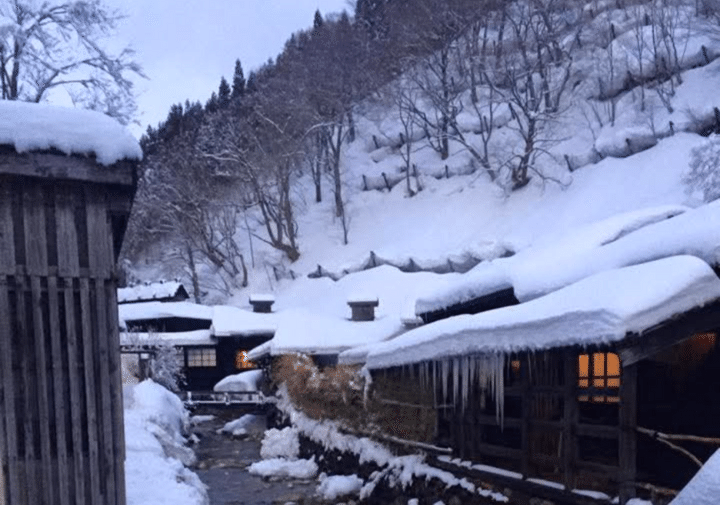 秋田県で深刻化するクマ被害。大切な命が失われる事態を受け、たくさんの声を受けて秋田市が新たな一歩を踏み出しました。