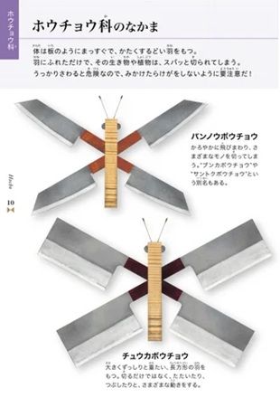 チョウの形をした超ユニークな絵本『超チョウ図鑑』発売中！84種類が登場