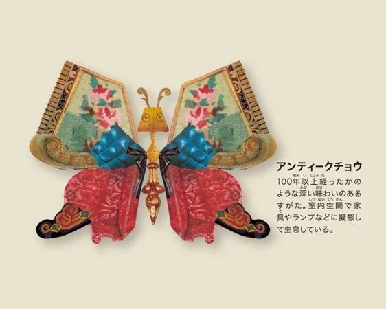 チョウの形をした超ユニークな絵本『超チョウ図鑑』発売中！84種類が登場