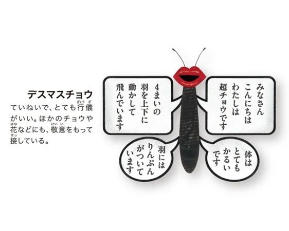 チョウの形をした超ユニークな絵本『超チョウ図鑑』発売中！84種類が登場