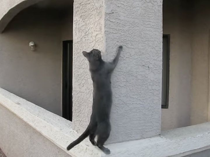 直角だけど……どうやって登るの？