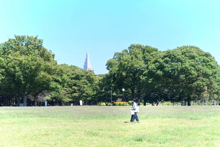 「代々木公園」の中央広場