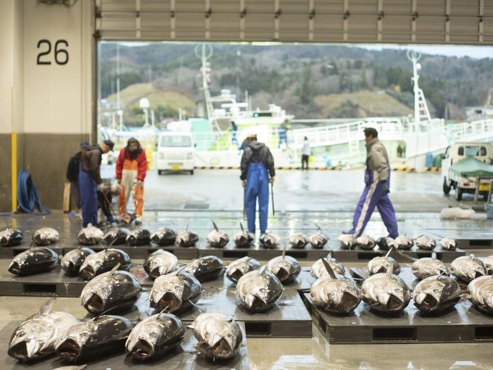 All About ニュース編集部が全国の250人を対象に実施したアンケート調査結果から、宮城県の市で「老後に住みたいと思う」市ランキングを発表！ 2位「気仙沼市」を抑えた1位は？