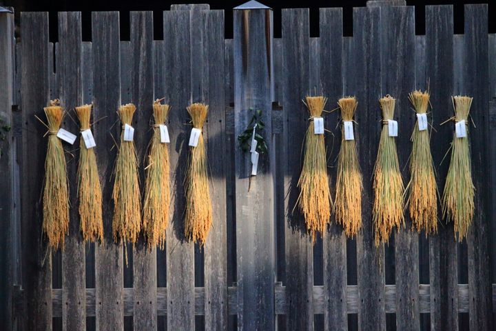 懸税（かけちから）