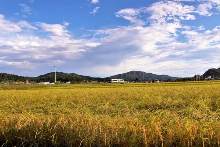新潟県魚沼市 田園 秋