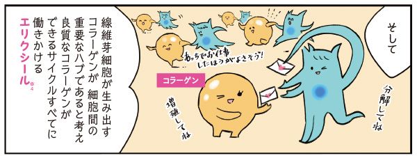 マサミさん「そして、線維芽細胞が生み出すコラーゲンが細胞間の重要なハブであると考え、良質なコラーゲンができるサイクルすべてに働きかけるエリクシール（※4）」