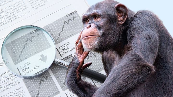 チンパンジーは「証拠の価値」の変化すら察し信念を変更できる