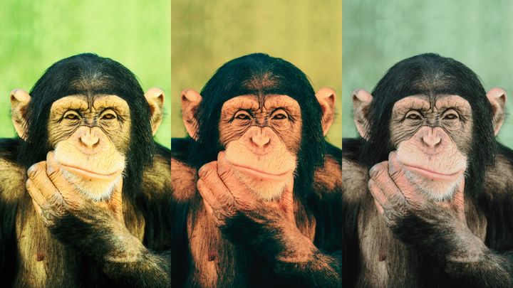 なぜチンパンジーにできることをできない人間がいるのか？