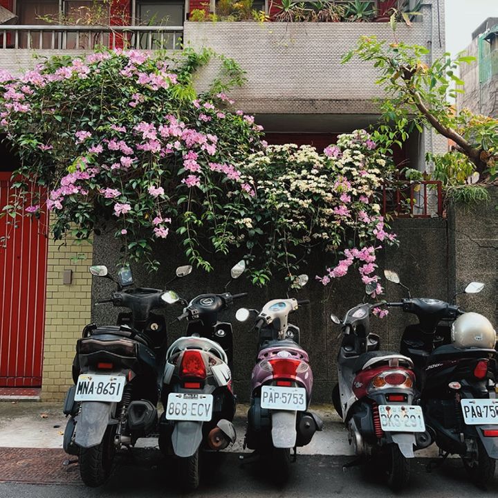 何気ない風景にも可愛さがにじむ。