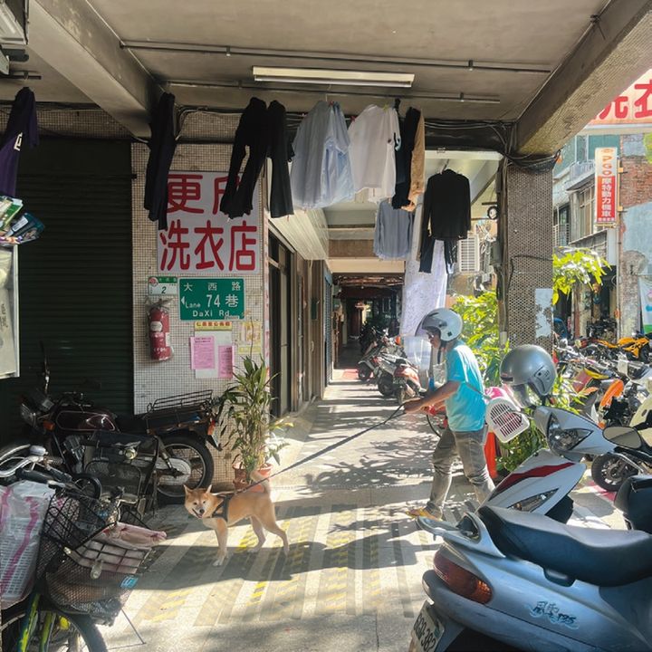 写真は主にiPhoneで。勝手にエモい写真になるパナソニックのHX-DC15もお気に入り。