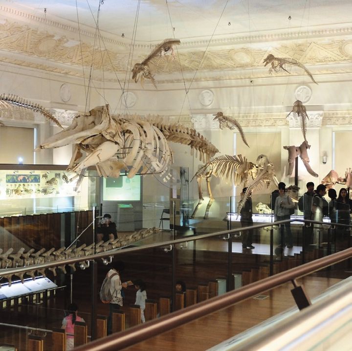 国立台湾博物館ほか企画が面白そうなアートミュージアムなども堪能。