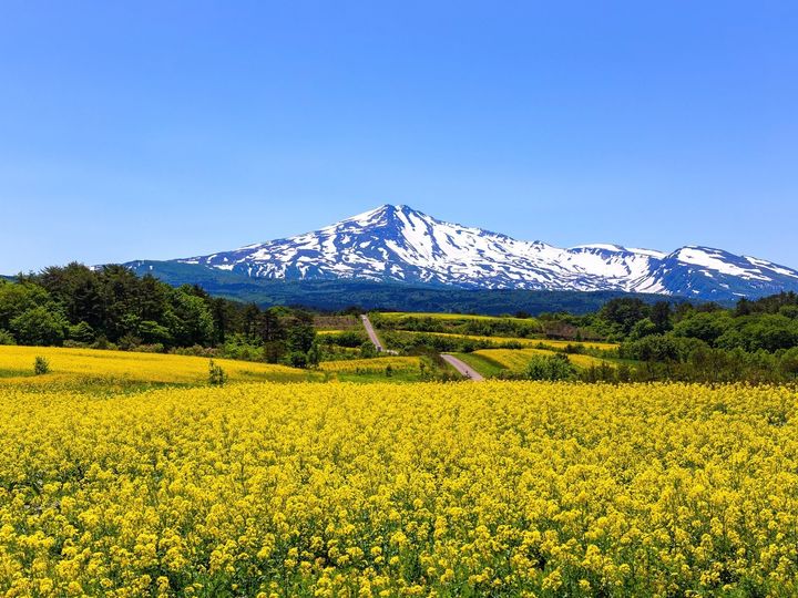 All About ニュース編集部は「名前がかっこいい市」に関するアンケート調査を実施。「秋田県の市で名前がかっこいいと思う市」ランキングで1位に選ばれたのは？