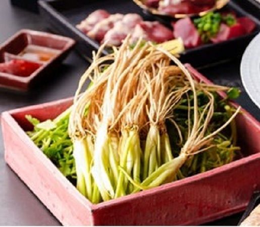 【東京都渋谷区】「ファイヤーバード恵比寿」で秋田県産「三関せり」を使用した「鴨セリ鍋コース」発売