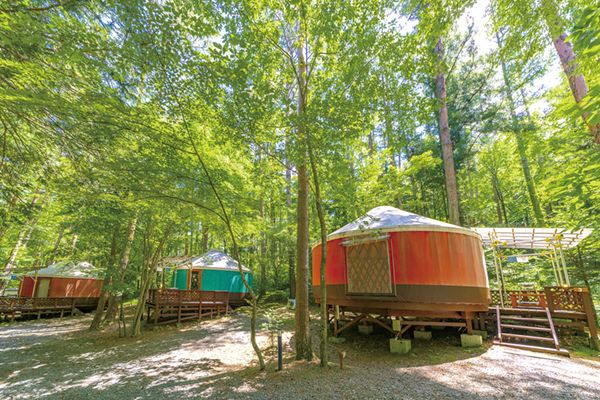 今さら聞けない！「オートキャンプ」の正しい知識知ってる？