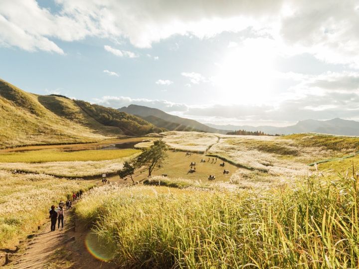 All About ニュース編集部が全国250人を対象に実施した絶景スポットに関するアンケートの調査結果から、秋に行きたいと思う「奈良県の絶景スポット」ランキングを発表！ 2位「曽爾高原」を抑えた1位は？