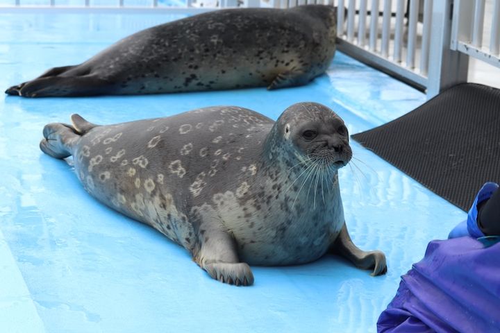 オホーツクとっかりセンター