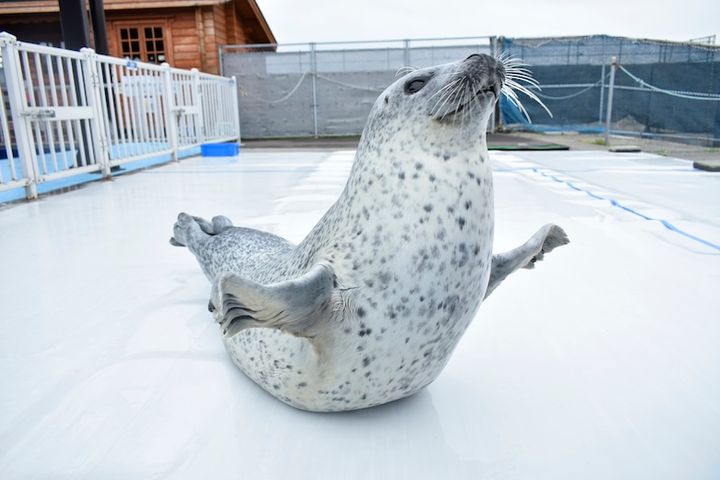 オホーツクとっかりセンター