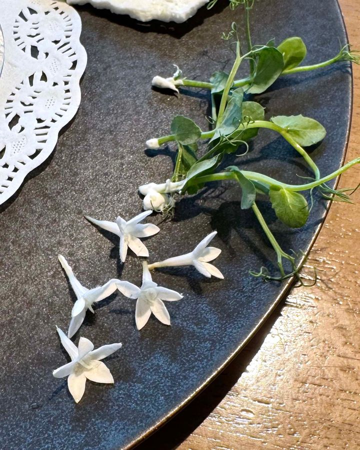 秋スイーツ2025◎ 東京會舘で優雅に楽しむ季節のアフタヌーンティー＆パフェ【ささやかですてきなもの 大谷有紀 vol.261】