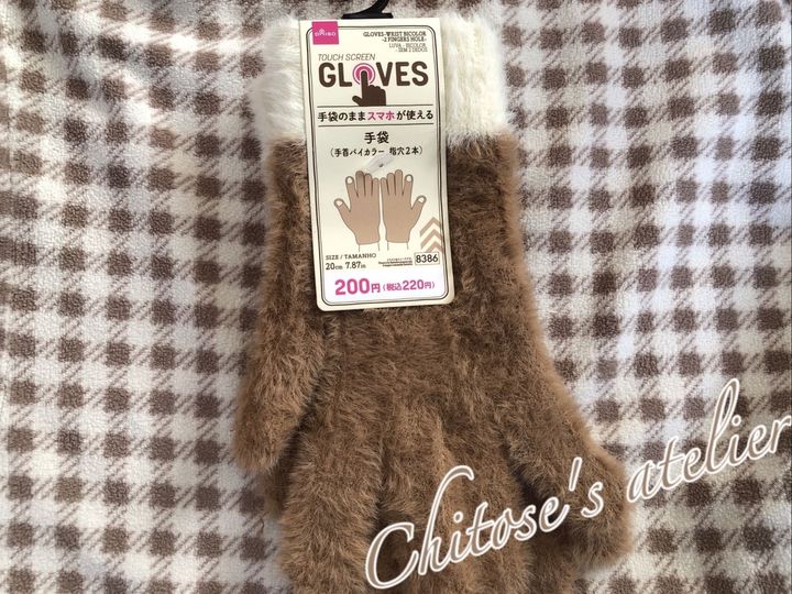 今年の手袋はこれで決まり！手袋をしたままスマホが触れるけれど例年のタイプとはちょっと違うみたい