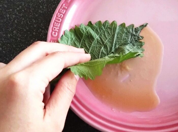 『しおれた大葉』捨てちゃダメ！⇨逆にカピカピに乾燥させる！？目からウロコの裏ワザに注目