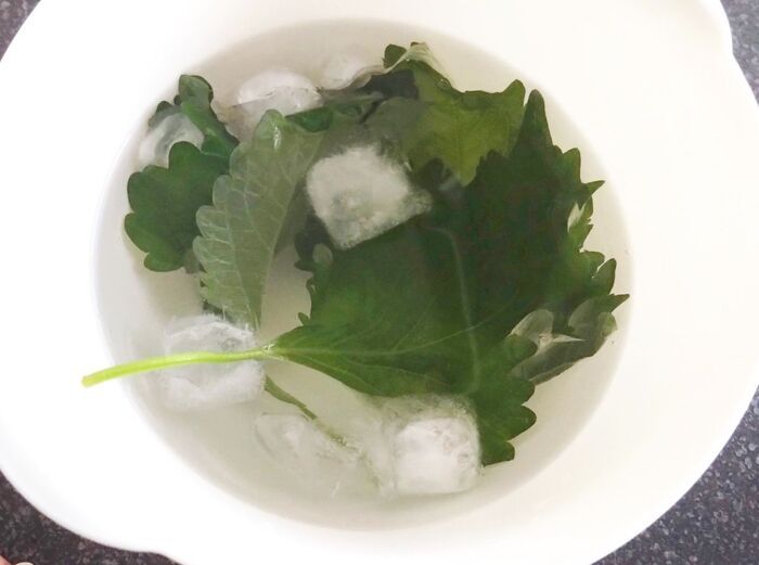 『しおれた大葉』捨てちゃダメ！⇨逆にカピカピに乾燥させる！？目からウロコの裏ワザに注目