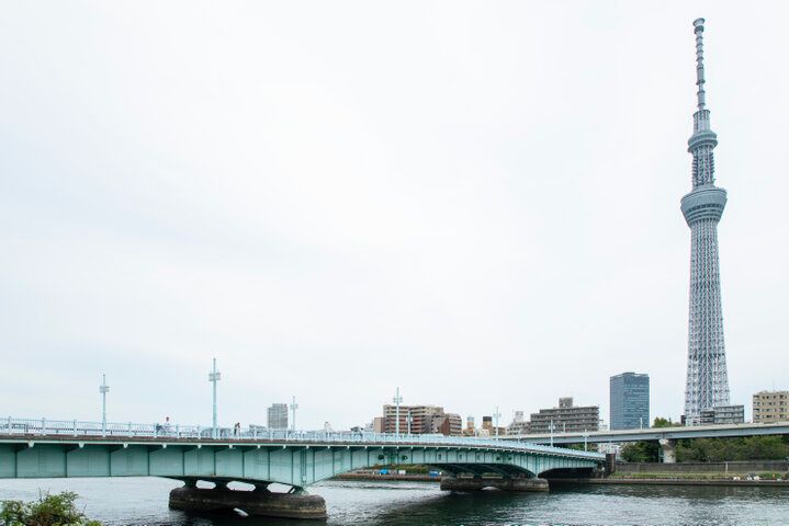 浅草からも徒歩圏♪下町・向島で老舗の和菓子「言問団子」にほっこり