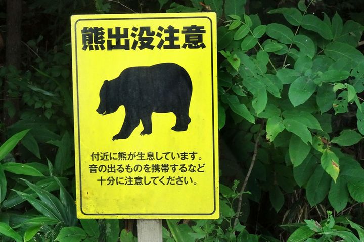 深刻化するクマ被害…