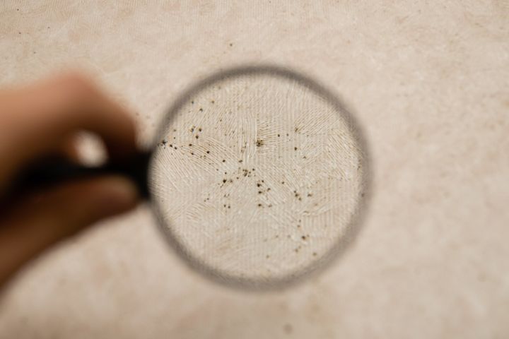 カビのイメージ