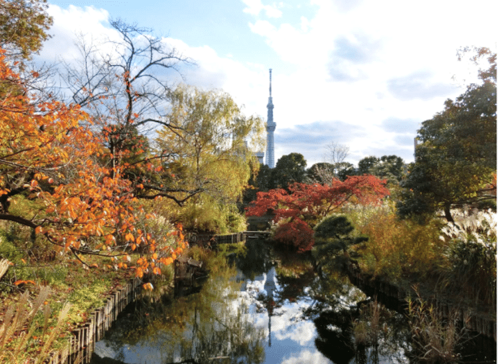 下町の小さな楽園「向島百花園」でのんびりさんぽ。秋の草花が彩る庭園へ