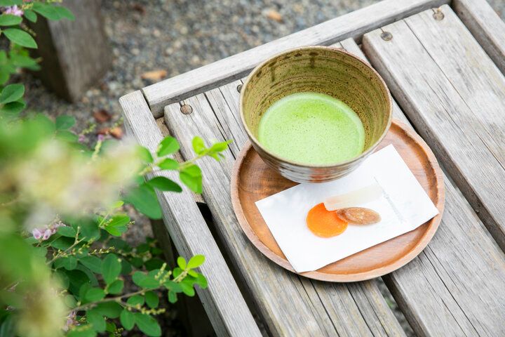 下町の小さな楽園「向島百花園」でのんびりさんぽ。秋の草花が彩る庭園へ