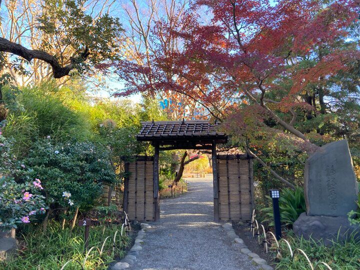 下町の小さな楽園「向島百花園」でのんびりさんぽ。秋の草花が彩る庭園へ