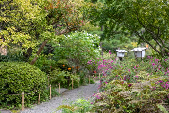 下町の小さな楽園「向島百花園」でのんびりさんぽ。秋の草花が彩る庭園へ