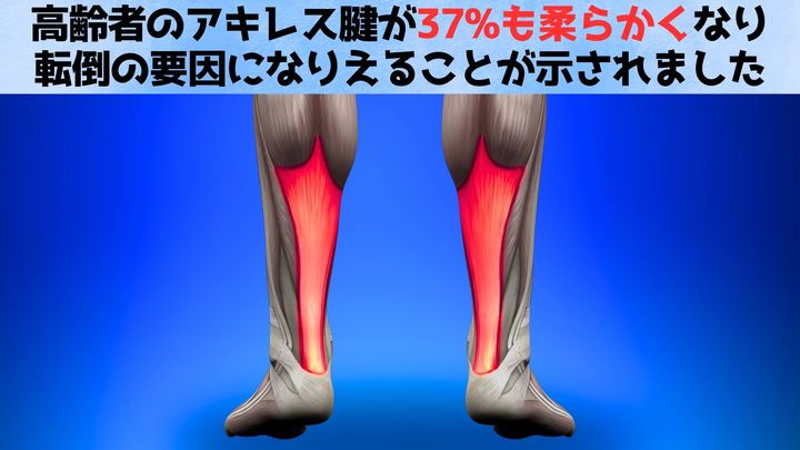 高齢者はアキレス腱が「やわから過ぎて」バランスが悪くなっていた