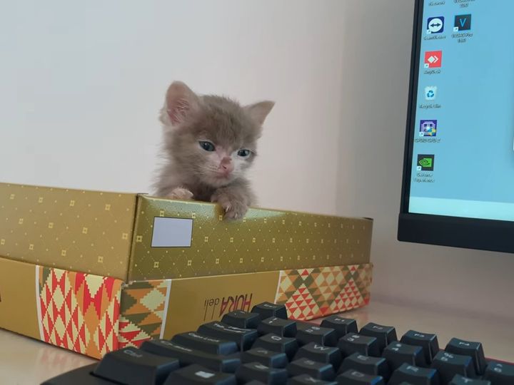 仕事中に、こんなふうに見つめられたら…