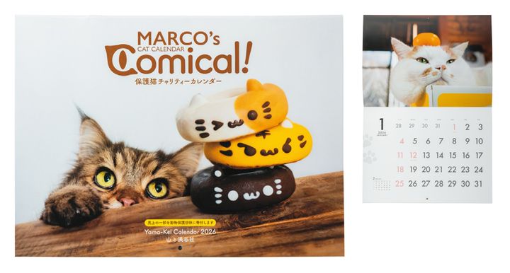 カレンダー2026 MARCO’s CAT CALENDAR Comical！ 保護猫チャリティーカレンダー