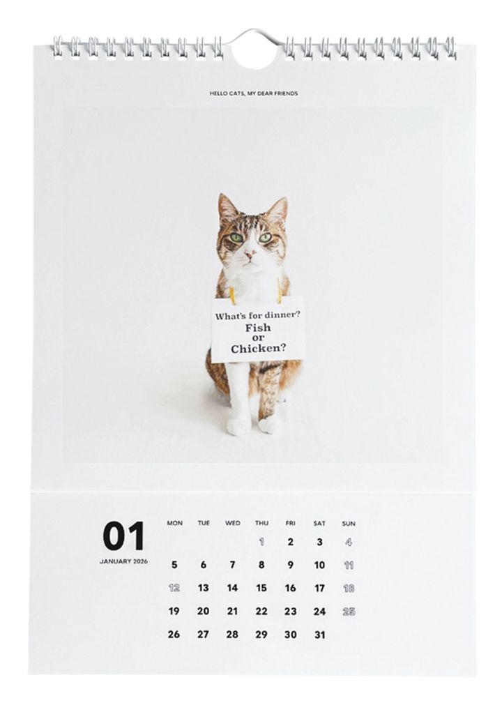 Hello cats, my dear friends original calendar 2026