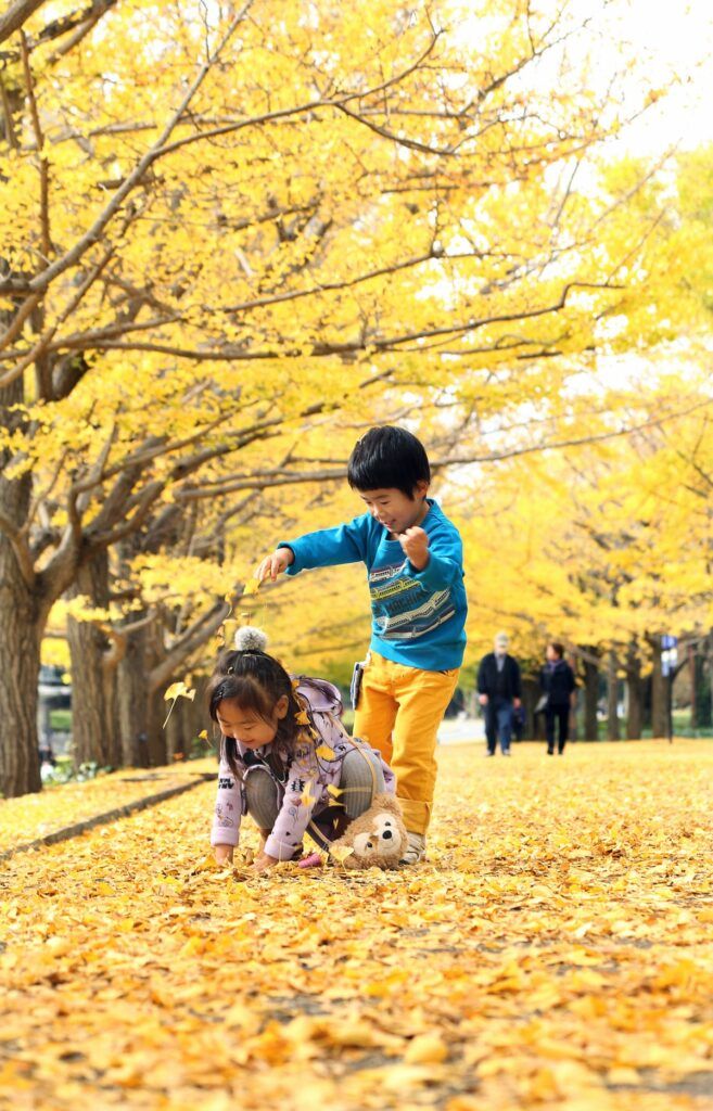 文化の日の11月3日に「木枯らし1号」が吹いたと気象庁が発表しました。