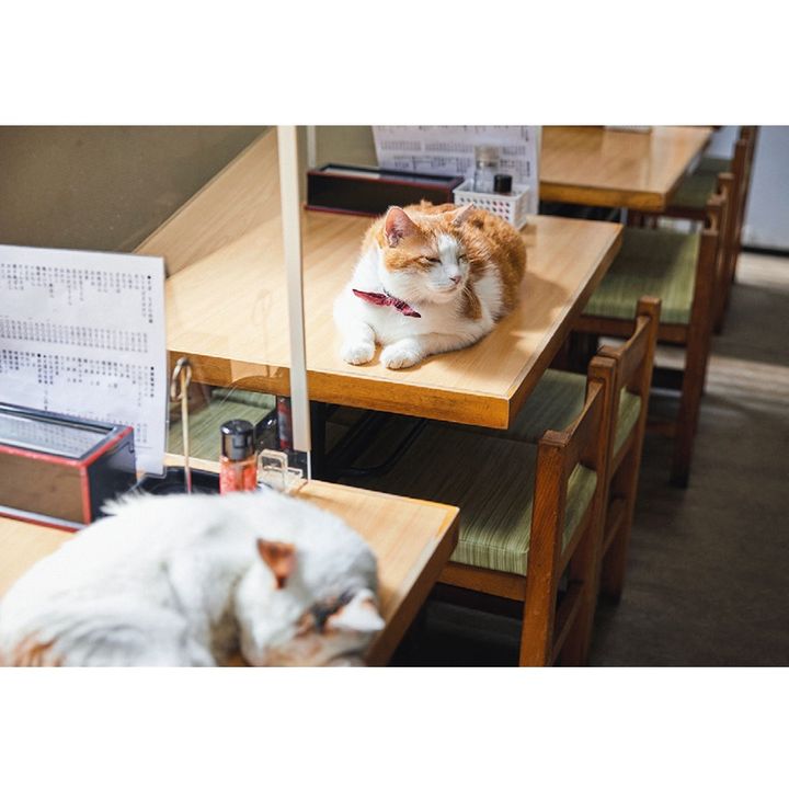 開店前ののんびりタイム。お客さんがいても同じですが。